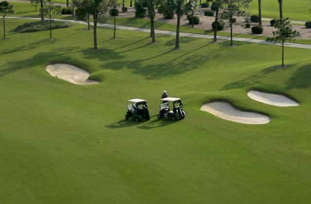 Top Turfgrass Varieties for Golf Courses