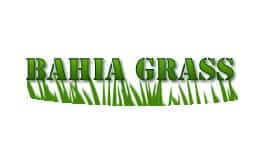 Bahia Grass - King Ranch