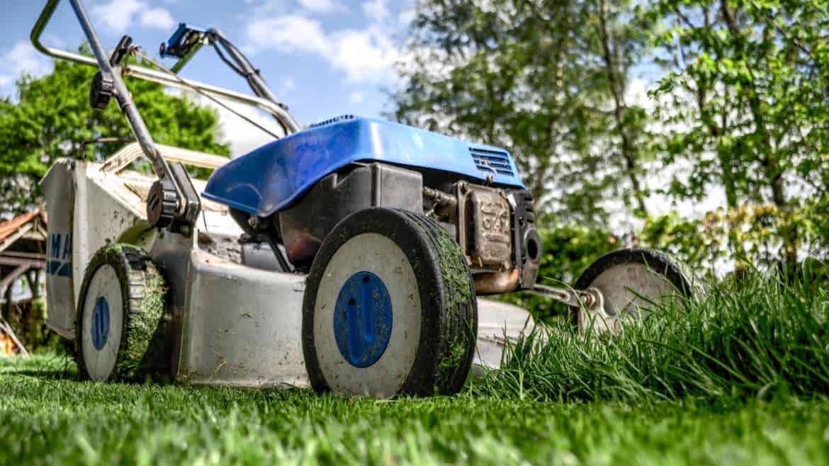 Reel or Rotary Mowers: Which is Best For My Turf Grass?