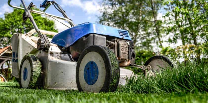 Reel or Rotary Mowers: Which is Best For My Turf Grass?