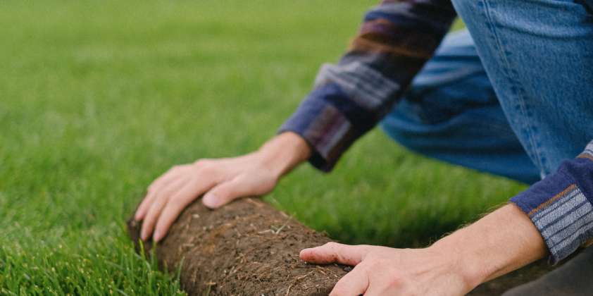 Understanding Lawn Fertilizer